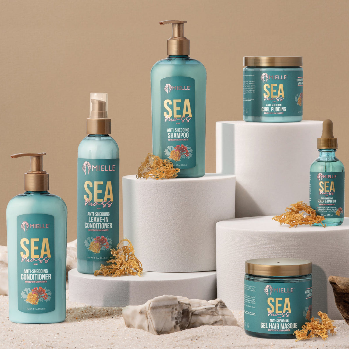 Sea Moss Group Shot