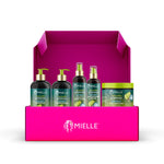Avocado & Tamanu Anti-Frizz System - Box