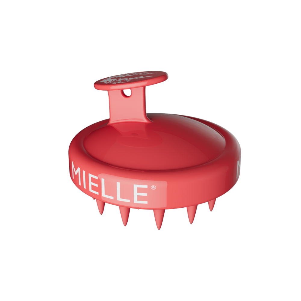 2-in-1 Scalp Massager & Shampoo Brush _ Main Image